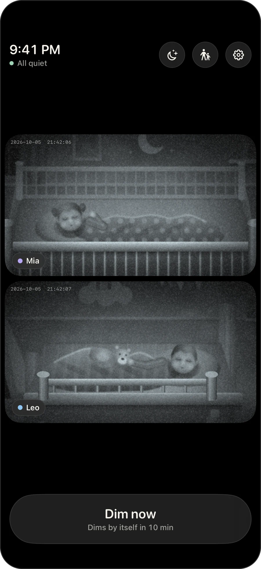 Hush's monitor: two children's cameras in night vision, one above the other, on a dark screen