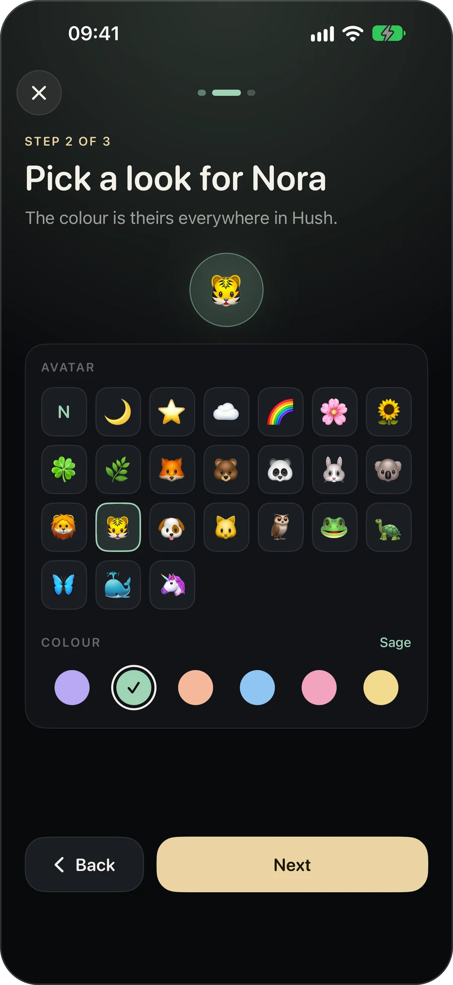 Hush's guided setup: choosing an avatar and a colour for a child